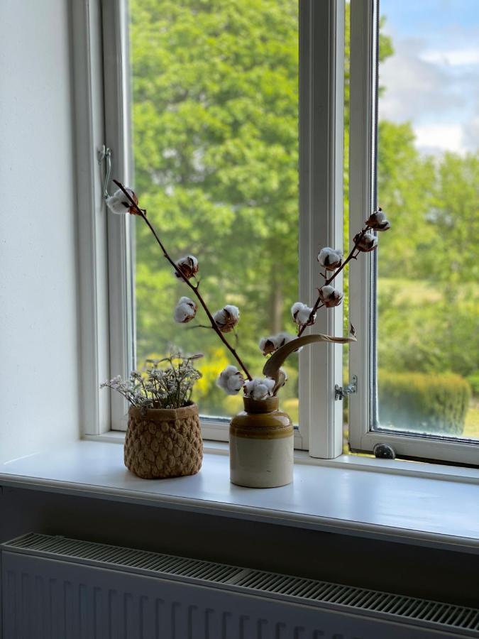 Appartamento Dobbelt Vaerelse Carlsminde Stenstrup Esterno foto